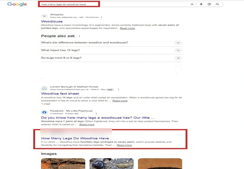 Google results page for an informational query showing the client's article on page 1 alongside Wikipedia and a local council PDF.